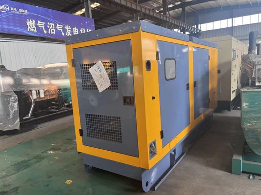 haut-parleur silencieux et options pour le groupe électrogène diesel de 80 kW