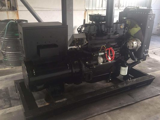 Ensemble de générateur diesel certifié ISO9001 de 30 kW avec série Weifang et filtre à air portable