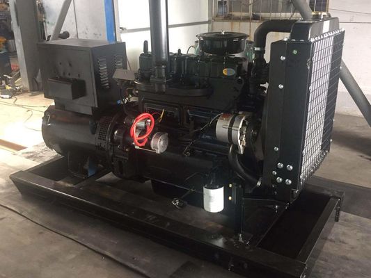 Ensemble de générateur diesel certifié ISO9001 de 30 kW avec série Weifang et filtre à air portable