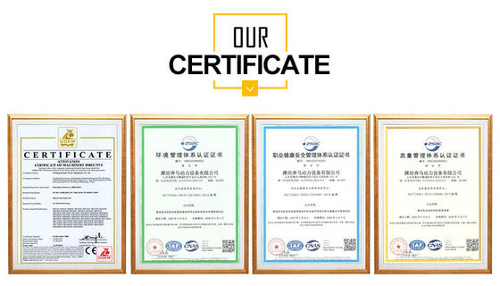Générateur diesel Kangmingsi de 40 kW avec moteur d'injection directionnelle et contrôleur Zhongzhi
